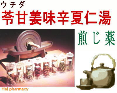 ウチダ 苓甘姜味辛夏仁湯 煎じ薬