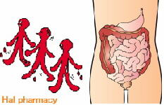 造血・消化機能