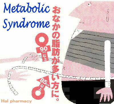 おなかの脂肪が多い方に おなかの脂肪が多い方に