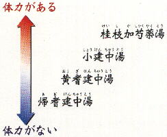 桂枝湯類の証から建中湯類の証への変化 桂枝湯類の証から建中湯類の証への変化
