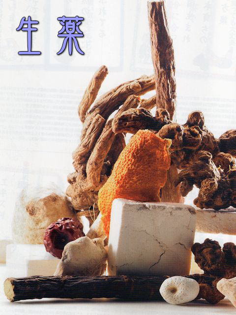 生薬Menu