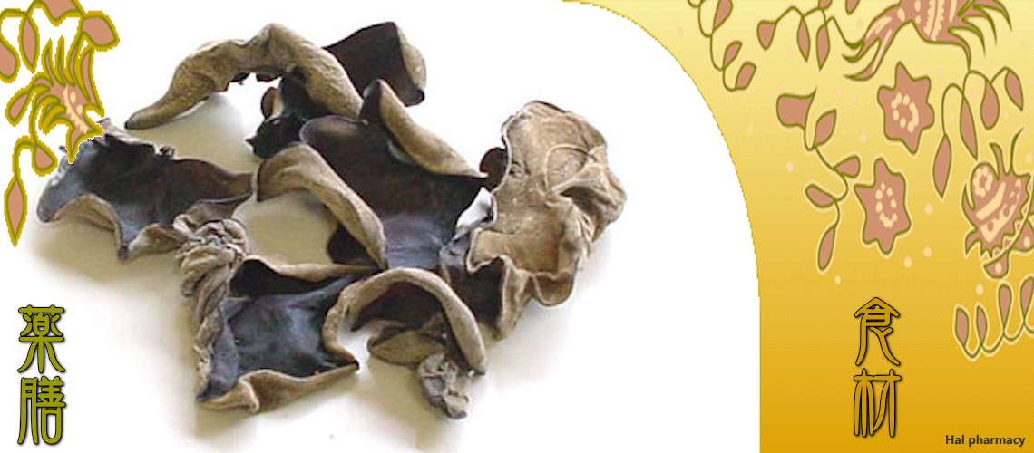 黒きくらげ（くろきくらげ）