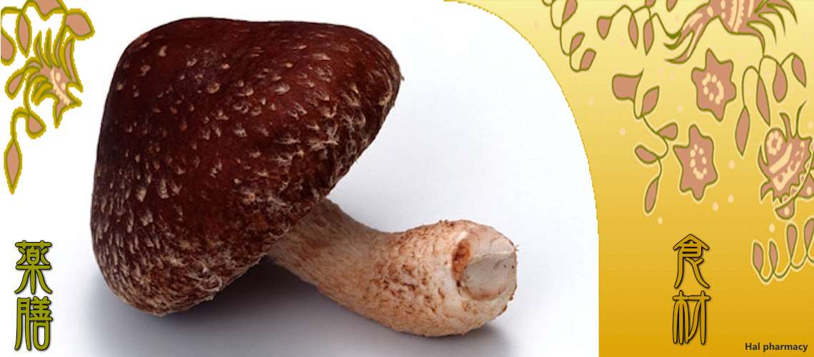 椎茸（しいたけ）