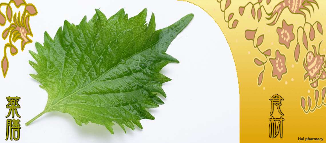 紫蘇の葉（しそのは）