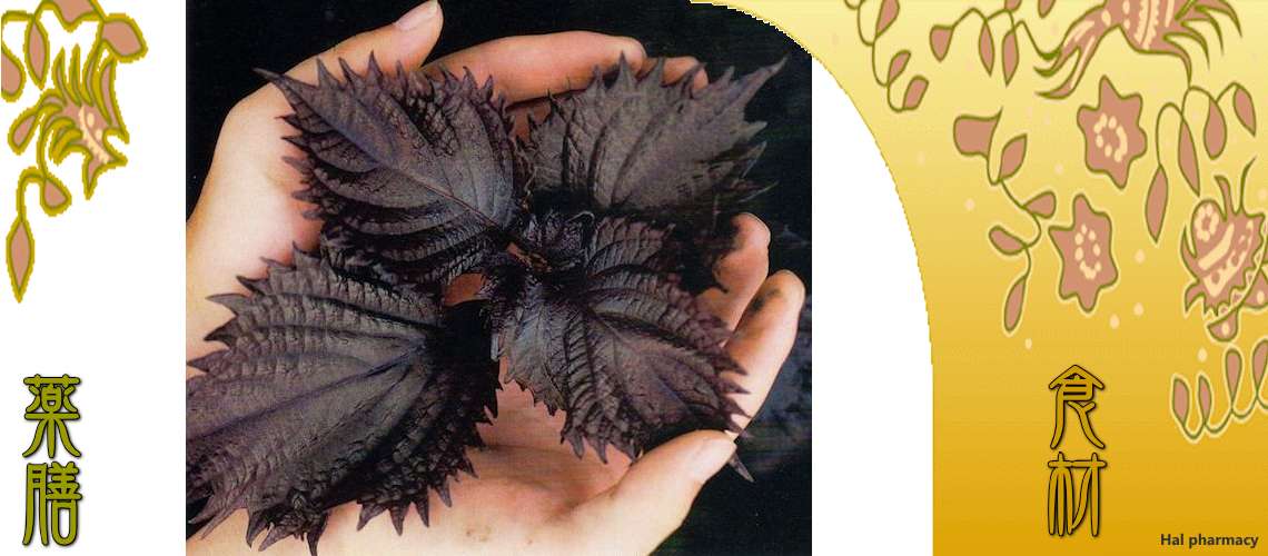 紫蘇の葉（しそのは）