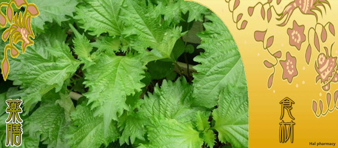 紫蘇の葉（しそのは）