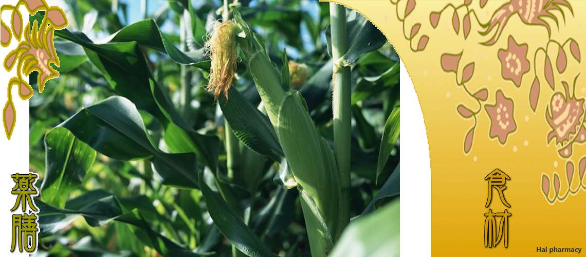 とうもろこし（とうもろこし）