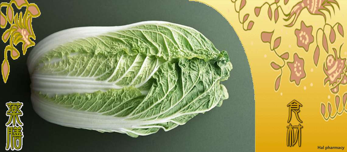 白菜（はくさい）