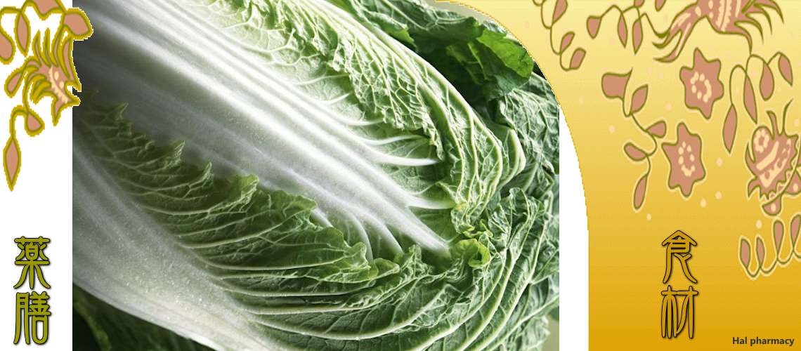 白菜（はくさい）