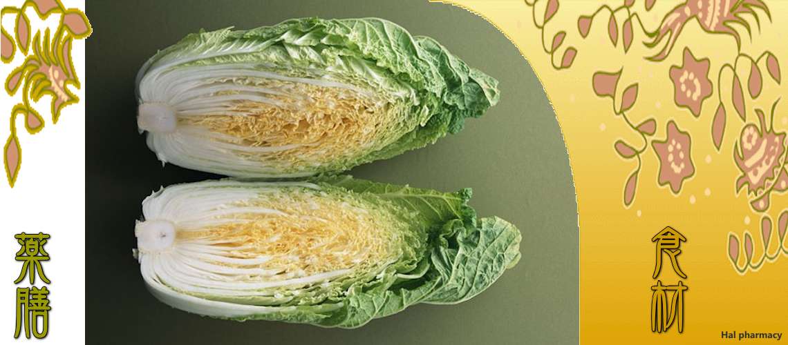 白菜（はくさい）