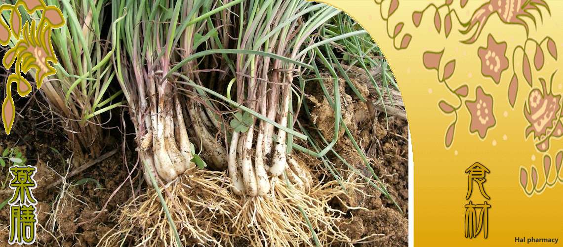 辣韭（らっきょう）
