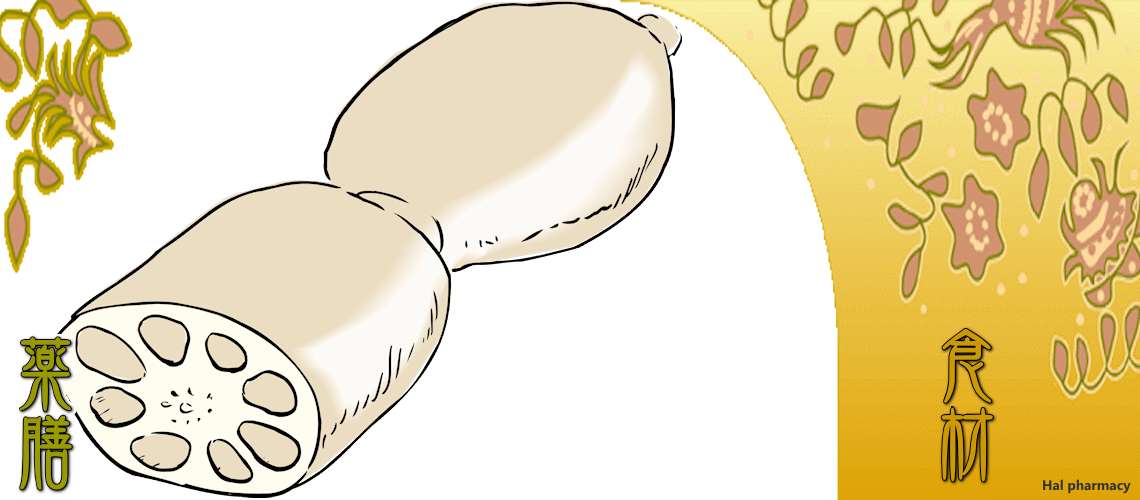 蓮根（れんこん）