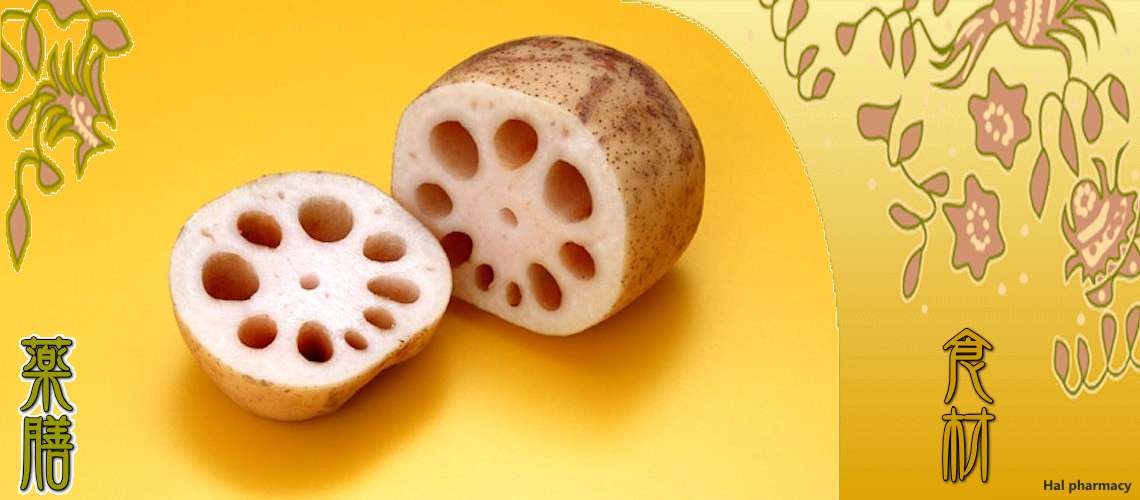 蓮根（れんこん）