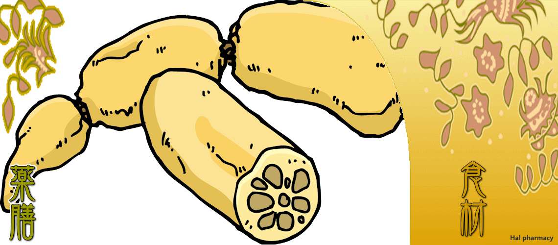 蓮根（れんこん）