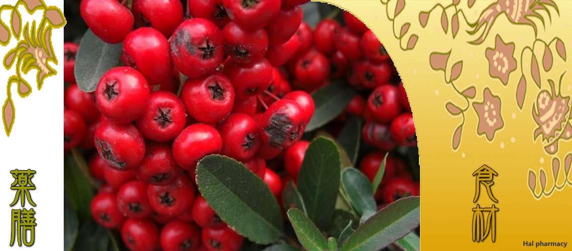 山査子（さんざし）