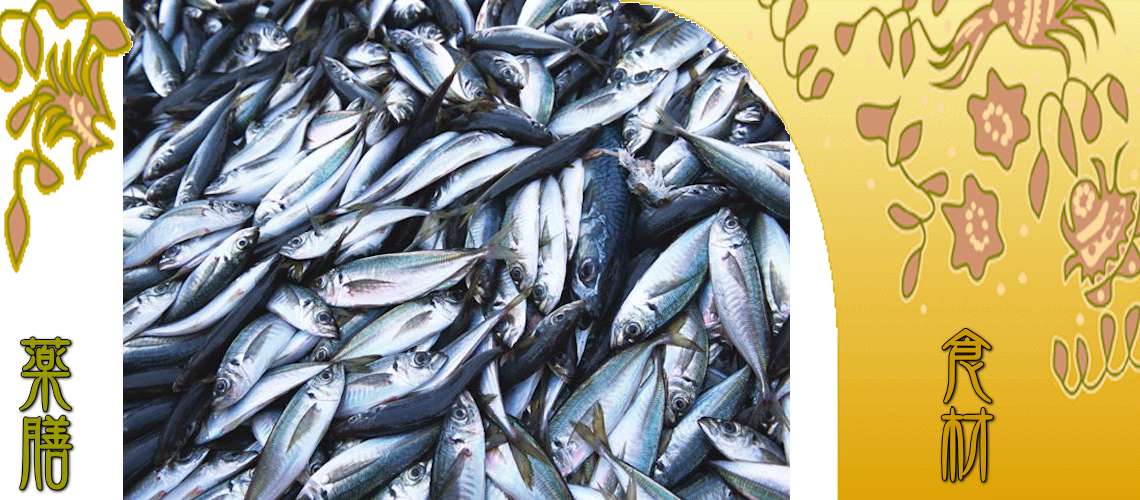 鯵（あじ）