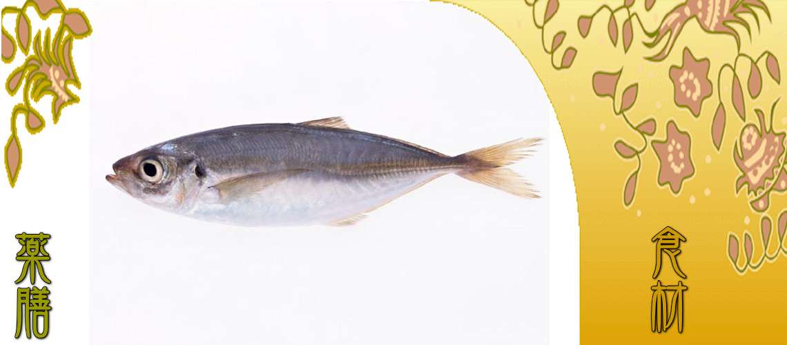 鯵（あじ）
