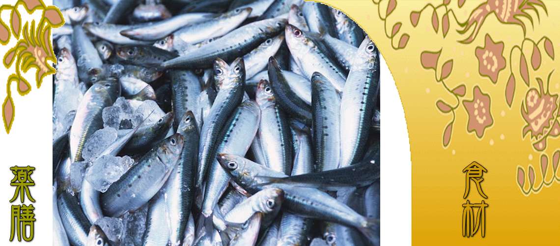 鰯（いわし）