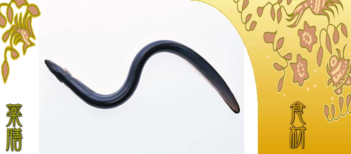 鰻（うなぎ）