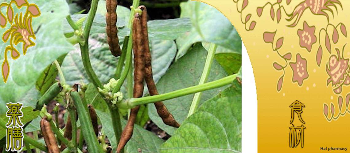 小豆（あずき）