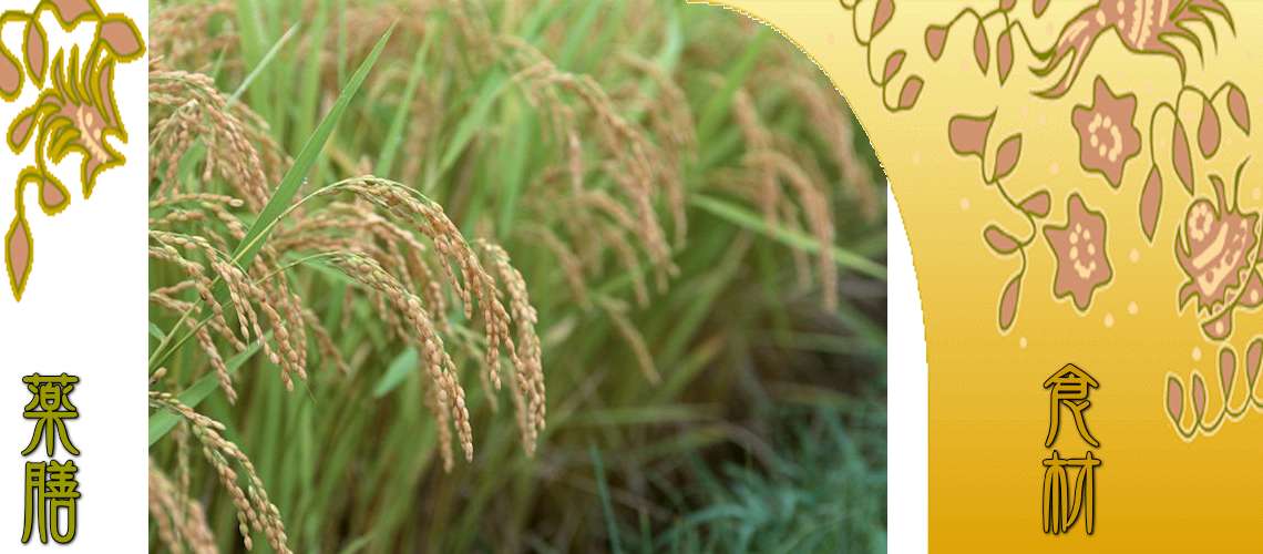 粳米（うるちまい）